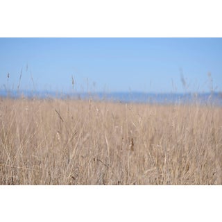 Gaétan Caron "Ten Mile Beach" Mendocino, California Landscape Photograph, 2013 For Sale