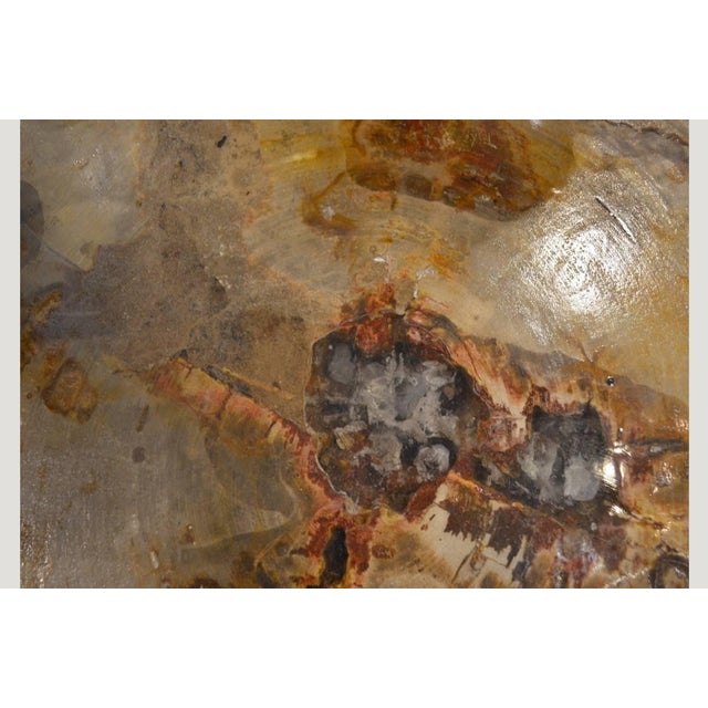 Andrianna Shamaris Petrified Wood Side Table with Cracked Resin For Sale - Image 11 of 18