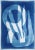 2025, Abstract Bold Marine Shapes, Unique Monotype Cyanotype of Watercolor Paper of "Marine Fauna" by Kind of Cyan For Sale
