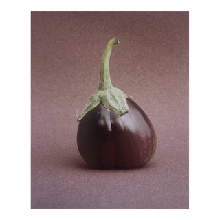 1980s Eggplant Still lIfe Photograph Photo by Garo For Sale