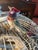 Up for your consideration is a beautiful vintage Indo-French white metal bird cage with hand made bird figurines. This...