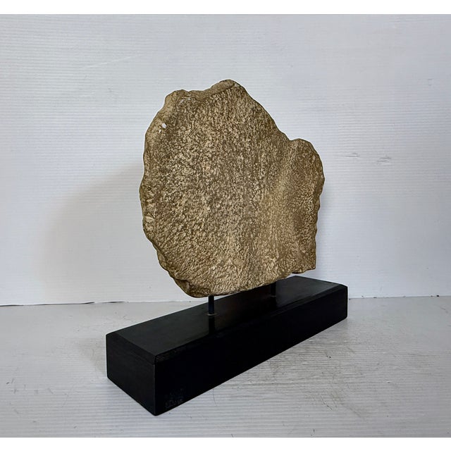 Mid 20th Century Horse Head Casted Sculpture For Sale In New York - Image 6 of 12