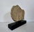 Mid 20th Century Horse Head Casted Sculpture For Sale In New York - Image 6 of 12