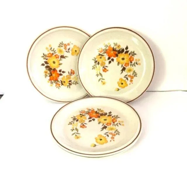 1970s Mid-Century Casual Elegance Hearthside Pattern Dinner Plates- Set of 4 For Sale - Image 5 of 5