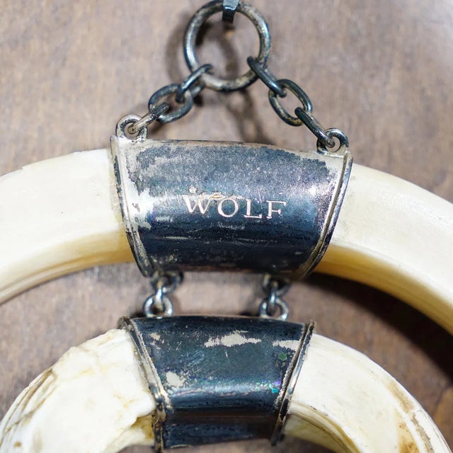 Vintage Wild Boar Tusk Trophy on Wooden Plaque, Germany 1970s For Sale - Image 4 of 7