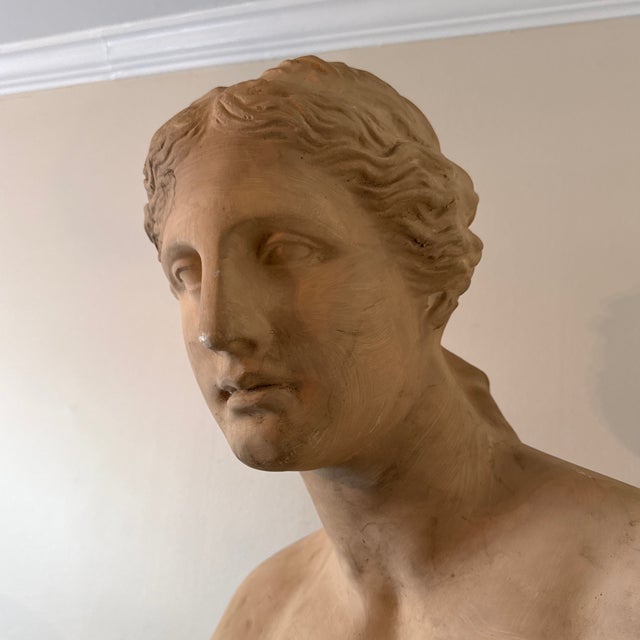 Plastic 1970s Vintage Oversized Elegant Fiberglass Venus De Milo Bust For Sale - Image 7 of 12