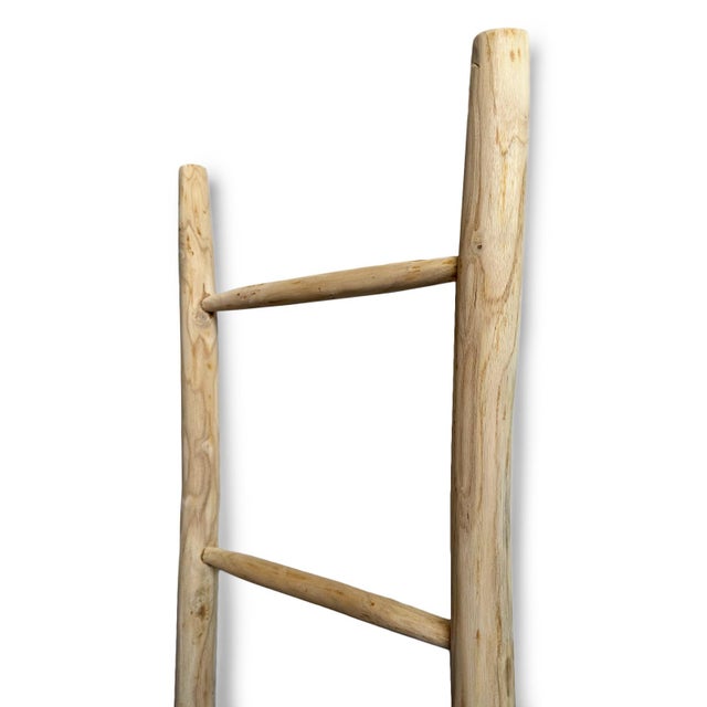 Organic Modern Teak Raw Wood Display Ladder For Sale - Image 4 of 4