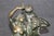 1920s 1920's Antique Bronze Statue of Children Playing Signed Clodion For Sale - Image 5 of 16