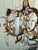 Vintage Four Arm Gold Gilt Italian Chandelier For Sale In New York - Image 6 of 9