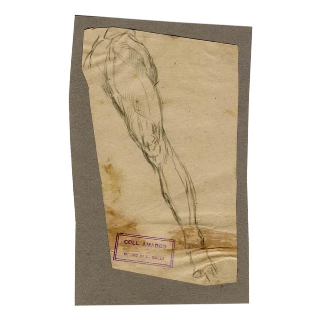 Luigi Galli, Leg, Original Drawing, Late 19th-Century For Sale