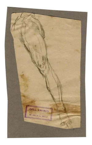 Luigi Galli, Leg, Original Drawing, Late 19th-Century