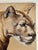 1980 Original Oil on Canvas Painting Mountain Lion by American Wildlife Artist DELLA MAZY Signed, Unframed Aprox....