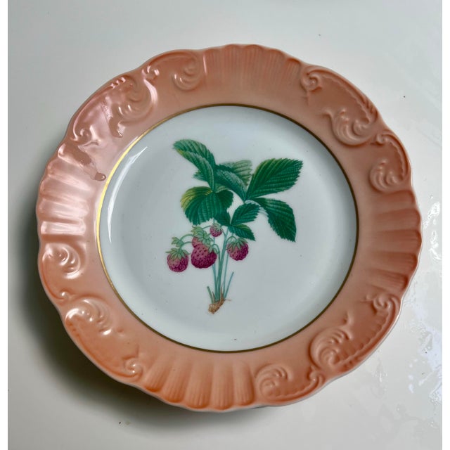 Traditional 1980s Mottahedeh Salad Plates, Summer Fruit, Vista Allegre- Set of 16 For Sale - Image 3 of 10
