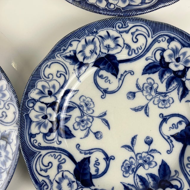 Antique Flora Ironstone Dinner Plates from Creil and Montereau, 1800s, Set of 6 For Sale - Image 11 of 13
