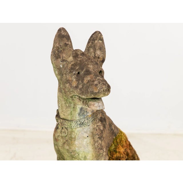 Concrete Shepherd Dog Garden Ornament, English Mid 20th Century For Sale In New York - Image 6 of 7