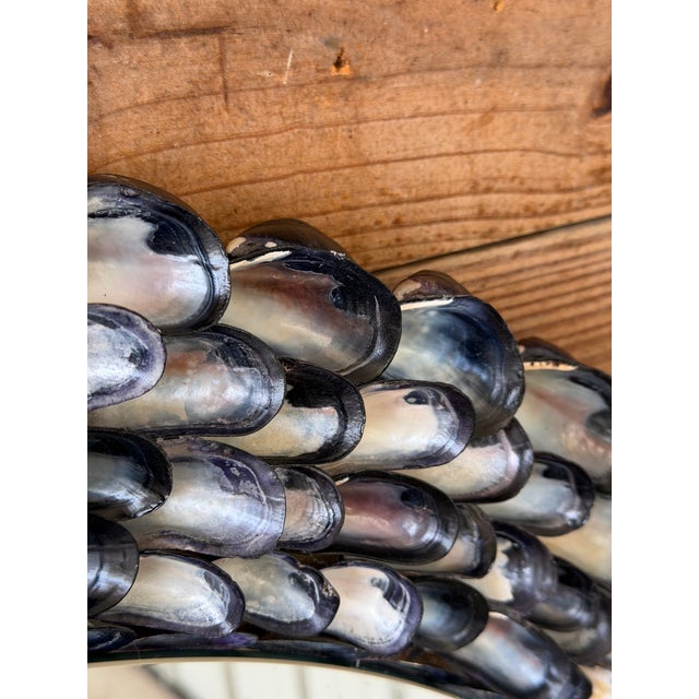 Handmade Coastal Mussel & Cowrie Shell Layered Round Mirror For Sale In Naples, FL - Image 6 of 12
