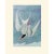 Common Tern After John J. Audubon, 1966 Nautical Style Print For Sale In Dallas - Image 6 of 8