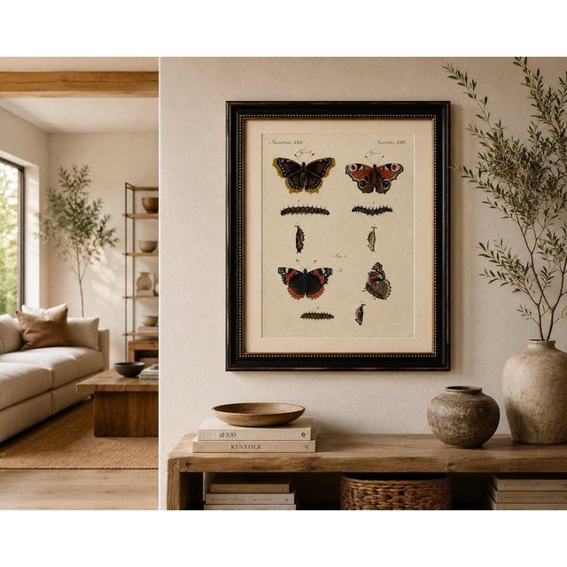 Early 19th Century Bertuch, Peacock and Red Admiral Butterflies, 1800, Engraving For Sale - Image 5 of 10
