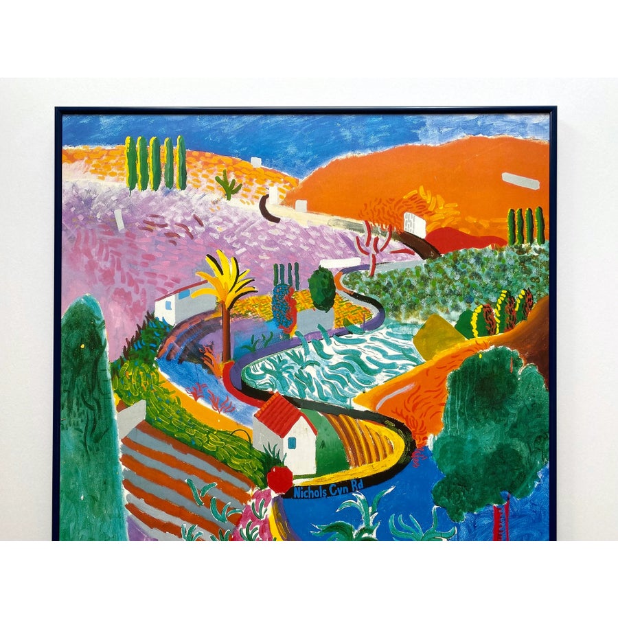 David Hockney Vintage 1988 Lithograph Print Framed Large Museum