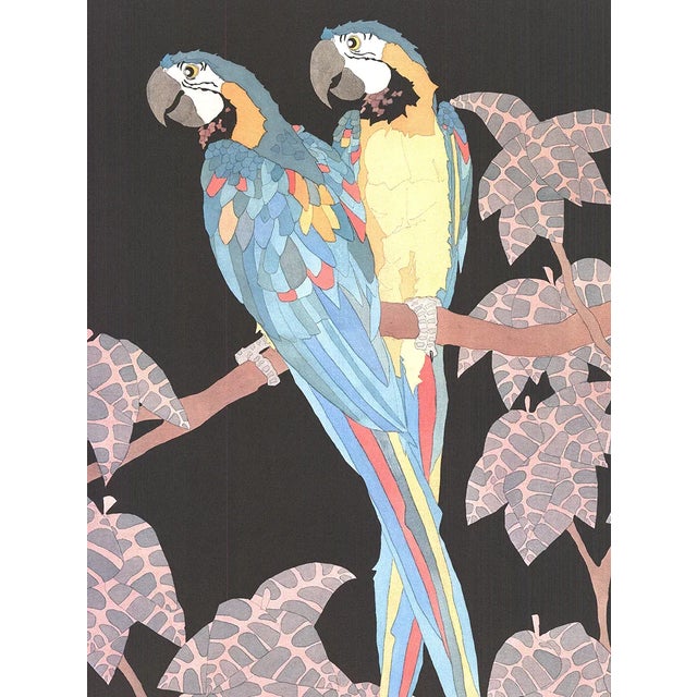 Modern 1989 Dan Goad 'Macaws' Offset Lithograph For Sale - Image 3 of 4