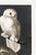 Illustration Snowy Owl, 1827 – John James Audubon Vintage Bird Art Print, 16" X 24" For Sale - Image 3 of 9