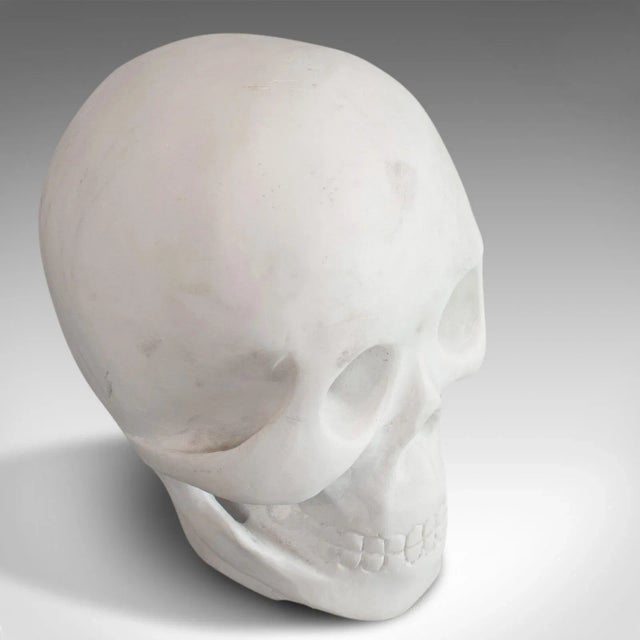 Stone 20th Century Marble Decorative Ornamental Skull For Sale - Image 7 of 11
