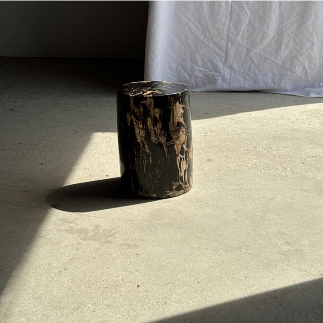 Side Table in Black Petrified Wood with Beige Sides, 1980s For Sale - Image 9 of 18