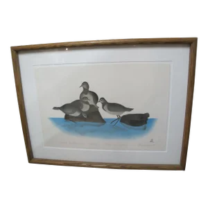 Thomasee Alikatuktuk Inuit Signed Limited Stencil Shayak Rest After Journey