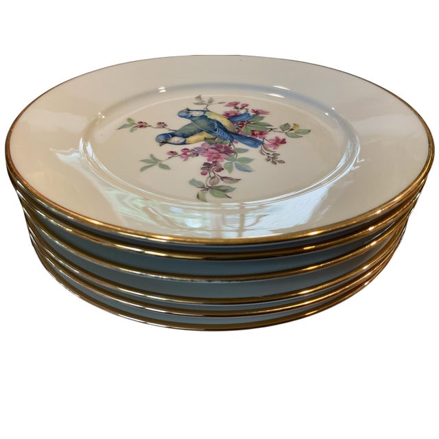Mid 20th Century Porcelain Song Bird Plates JKW Western Germany, Set of 6 For Sale - Image 17 of 18