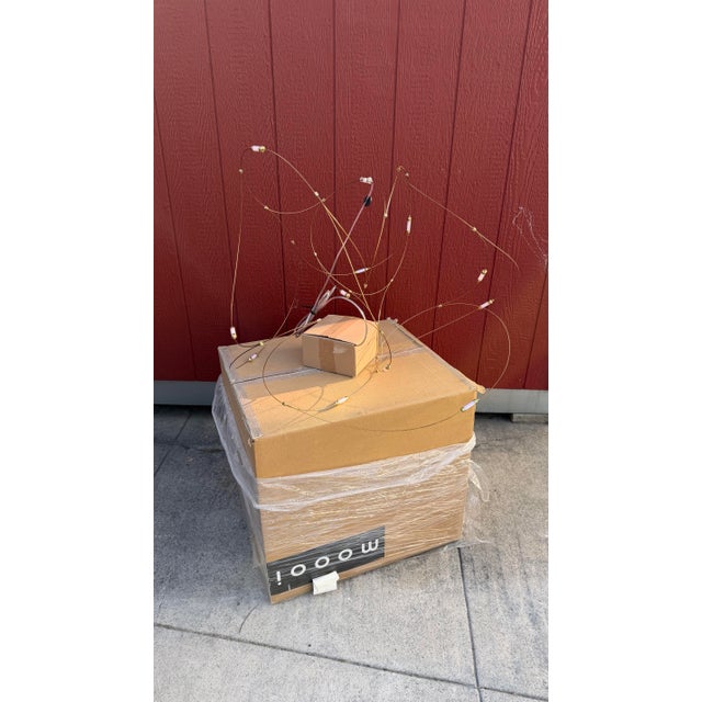 Lights Flock of Light Model 11 by Moooi For Sale - Image 7 of 10