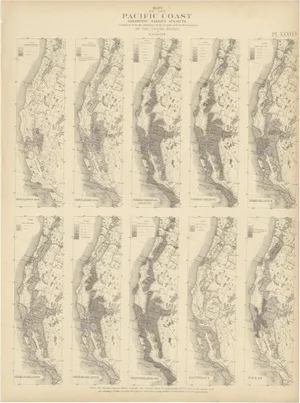 Antique Chart of the Pacific Coast, 1874