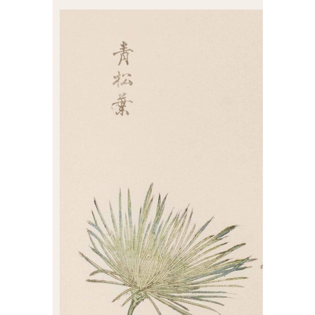 Discover a beautifully restored vintage Japanese botanical art print featuring two graceful wildflowers by Keika Hasegawa,...