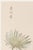 Discover a beautifully restored vintage Japanese botanical art print featuring two graceful wildflowers by Keika Hasegawa,...