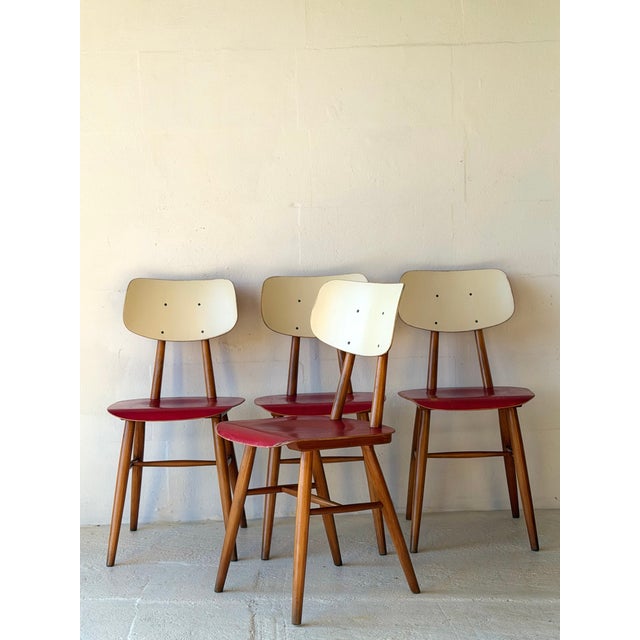 Bistro Chairs from Ton, 1960, Set of 4 For Sale - Image 13 of 18