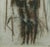 Modern Carlo Mattioli, Nude, 1958, Pastel Drawing on Canvas, Framed For Sale - Image 3 of 4
