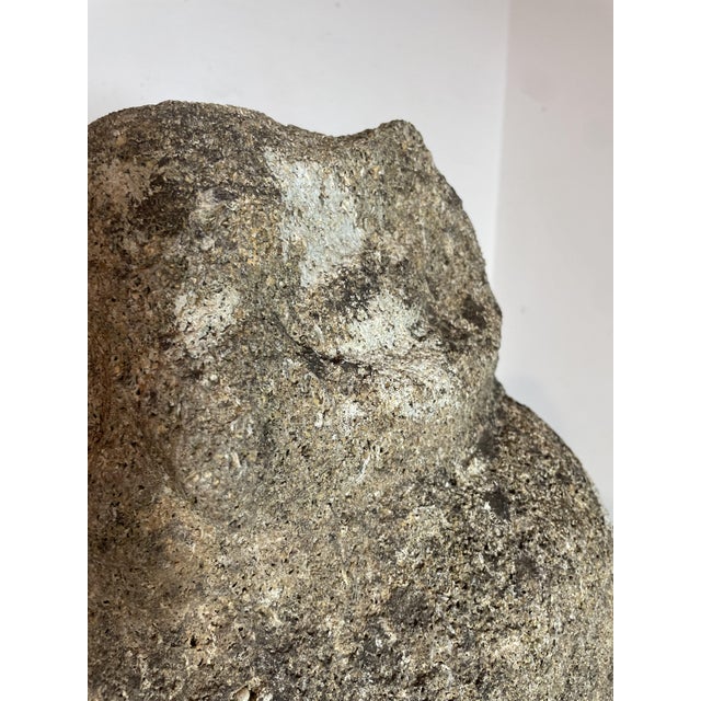 Large Owl Garden Ornament in Reconstituted Stone, 1950s For Sale - Image 10 of 13