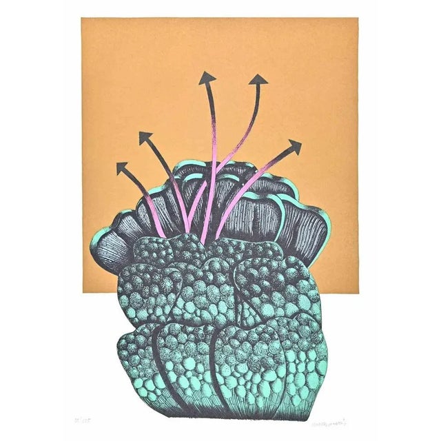 Fiore Segnale is a lithograph realized by Renzo Margonari in 1976. Hand-signed. Numbered. Edition 51/125. Good conditions....