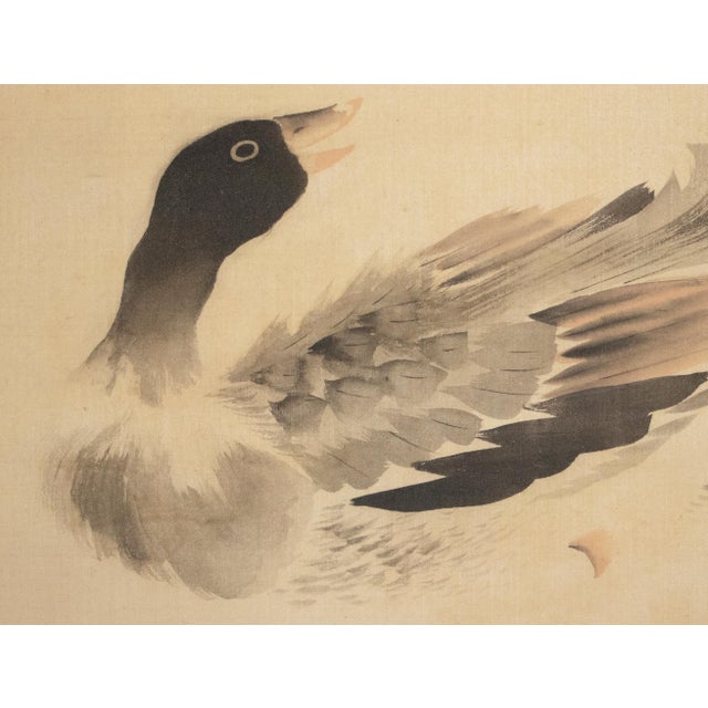 1940s "Duck", Showa Era Japanese Monochrome Watercolor Scroll Painting For Sale - Image 5 of 14