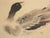 1940s "Duck", Showa Era Japanese Monochrome Watercolor Scroll Painting For Sale - Image 5 of 14