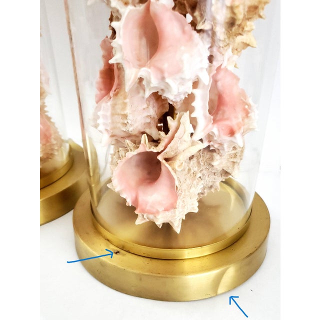 Lamps by Ralph Lauren With Pink Seashells Shell Added - A Pair For Sale - Image 17 of 17