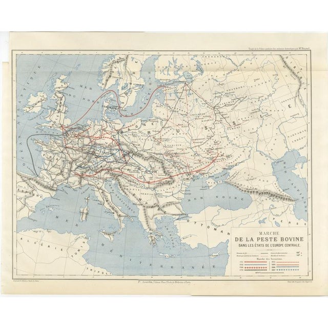 Antique Map of the Cattle Plague in Europe by Reynal, 1873 For Sale - Image 3 of 12