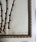 1895 Framed Antique Herbariums, Set of 20 For Sale - Image 9 of 12