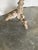 Antique Bleached Carved Oak Side Table With Hoof Feet 19th Century For Sale - Image 10 of 13