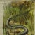 1960s Vintage Adder / Grass Snake Pull Down Wall Chart For Sale - Image 5 of 6