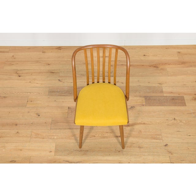 Dining Chairs by Antonín Šuman for Ton, 1960s, Set of 4 For Sale - Image 9 of 18