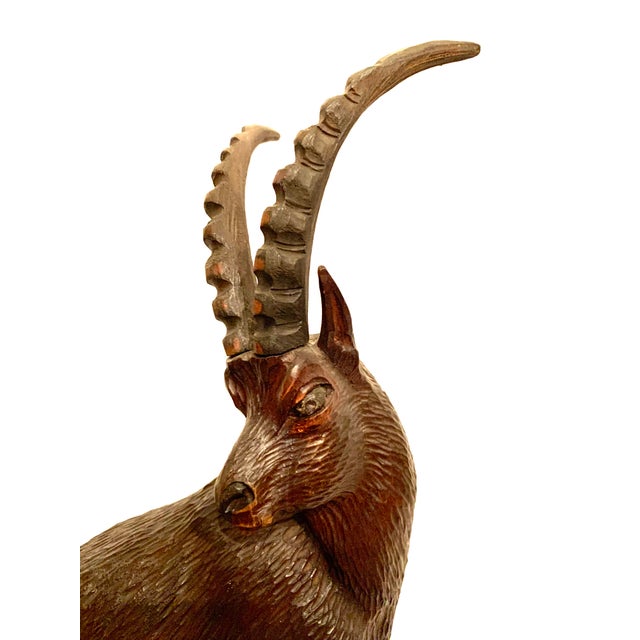 Rustic Mid 20th Century Large Black Forest Wooden Ibex Carving For Sale - Image 3 of 13