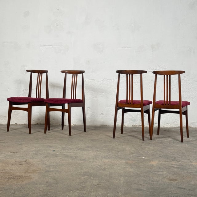 Polish Dining Chairs attributed to M. Zielinski, 1960s, Set of 5 For Sale - Image 4 of 9