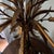Antique Gold Gild Wheat Style Table Lamp For Sale In Houston - Image 6 of 11