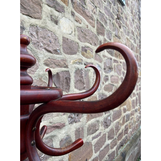 Maroon Parrot Coat Rack in Bentwood from Fischel, 1925 For Sale - Image 8 of 9