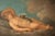 Venetian School Artist, Cherubs, Late 18th Century, Oil on Canvases, Framed, Set of 2 For Sale - Image 6 of 10